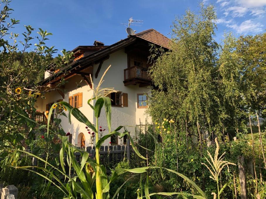 Birbamergut Longostagno Экстерьер фото